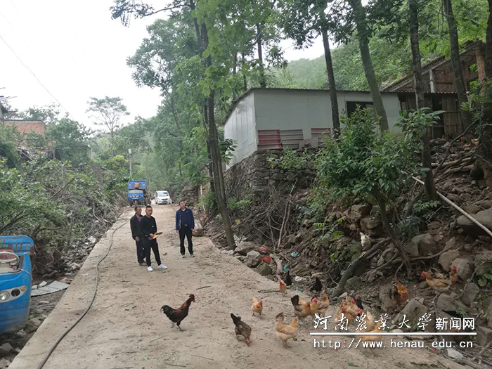 和淅川花崖合作社负责人讨论合作社发展(右一汪强) 和淅川花崖合作社负责人讨论合作社发展(右一汪强)
