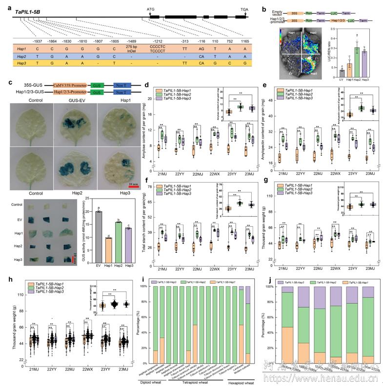 微信图片_20251212091559_280_22.png 微信图片_20251212091559_280_22.png