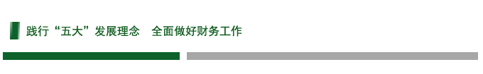 践行“五大”发展理念  全面做好财务工作