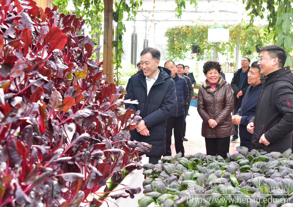 李成伟到蔬菜研究院进行调研.jpg