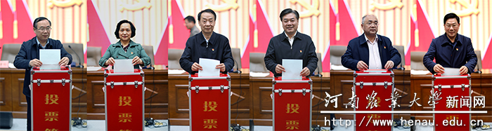 投票现场 投票现场