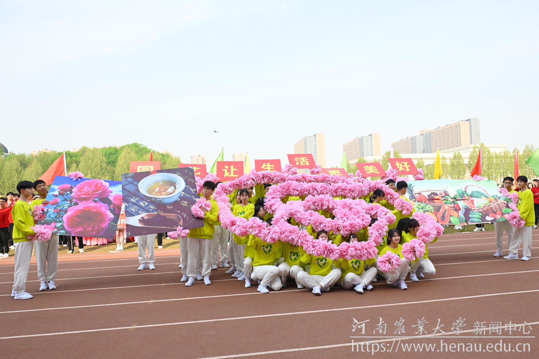 园艺 (4).jpg