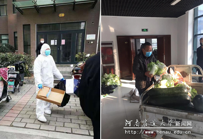 清理在家隔离人员垃圾,为在家隔离人员配送蔬菜 清理在家隔离人员垃圾,为在家隔离人员配送蔬菜