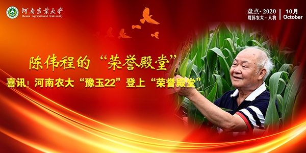 陈伟程的“荣誉殿堂”.jpg
