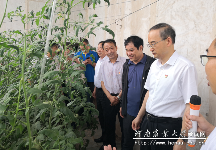 省委常委、常务副省长黄强查看我校帮扶建设的蔬菜长势 省委常委、常务副省长黄强查看我校帮扶建设的蔬菜长势