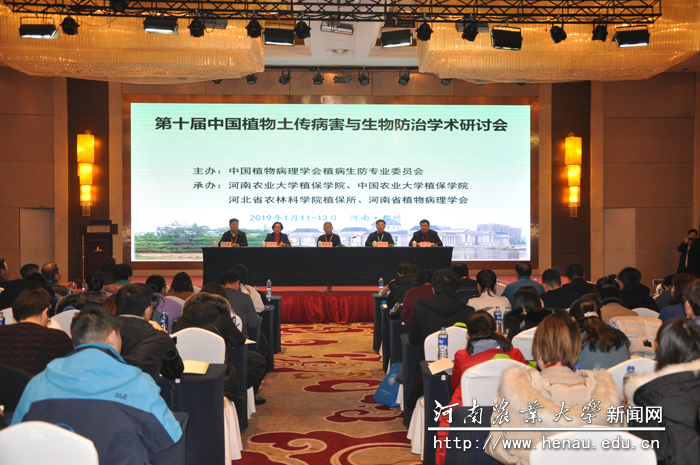会议现场 会议现场
