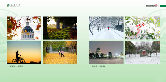 魅力校园—秋与冬 魅力校园—秋与冬