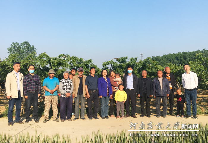 尹新明一行深入田间地头查看桃树和小麦生长情况 尹新明一行深入田间地头查看桃树和小麦生长情况