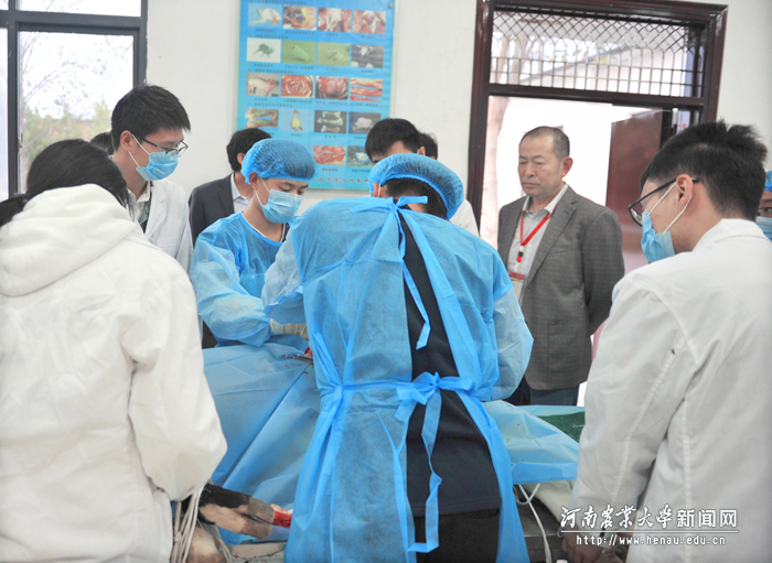 专家组成员、华南农业大学教务处处长张永亮考察教学实习基地建设