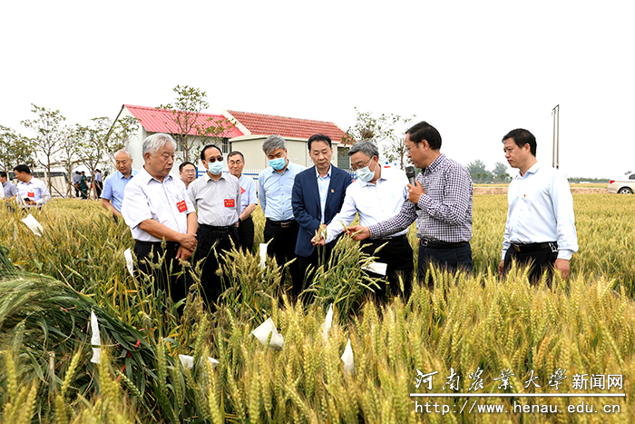 省政协常委视察团在我校原阳科教园区试验田进行调研 省政协常委视察团在我校原阳科教园区试验田进行调研