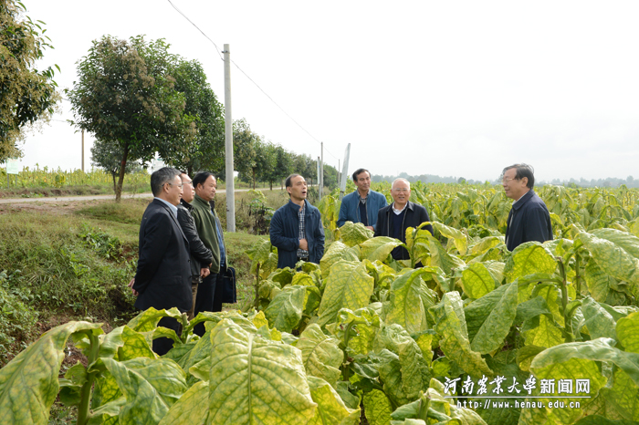 副校长谭金芳赴洛阳调研指导烟草水肥一体化应用工作 副校长谭金芳赴洛阳调研指导烟草水肥一体化应用工作