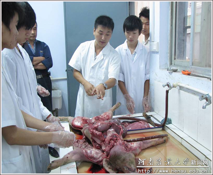 常洪涛2002年 常洪涛2002年