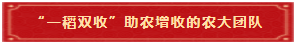 5 “一稻双收”助农增收的农大团队