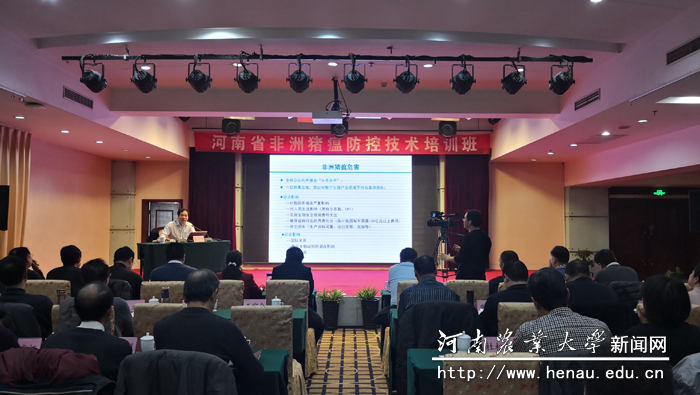 河南省非洲猪瘟防控技术培训班