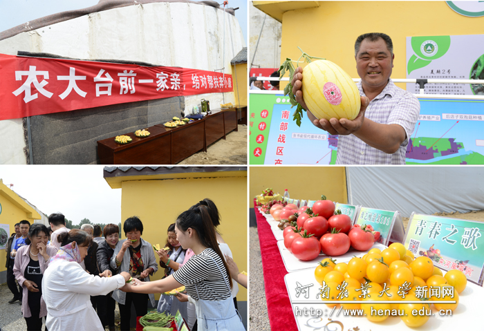 热闹的观摩会 热闹的观摩会