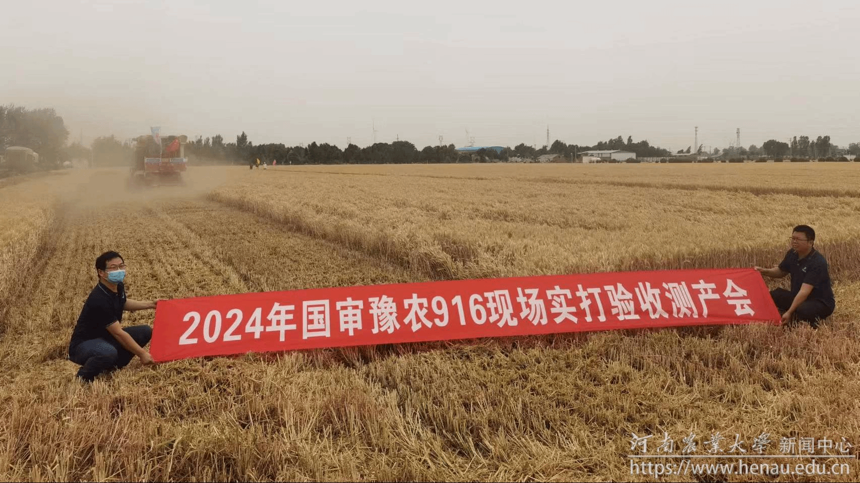 助农天团服务“三夏”系列报道(二)盛夏酷暑田间忙 护航农民增收路-河南农业大学