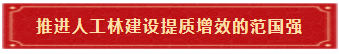 推进人工林建设提质增效的范国强