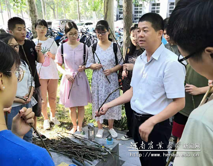 带领学生开展实践教学 带领学生开展实践教学