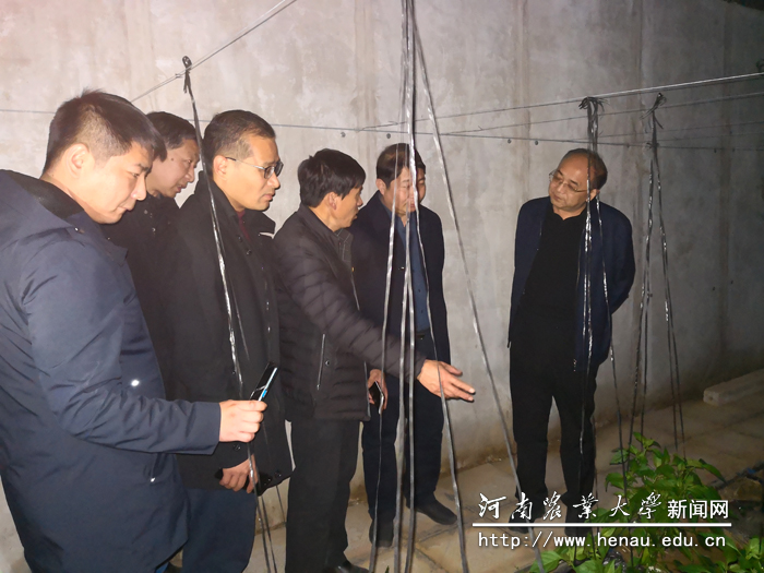 游舸一行查看优质瓜果蔬菜产业示范园建设和生产情况 游舸一行查看优质瓜果蔬菜产业示范园建设和生产情况