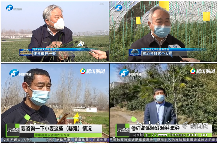 学校专家教授为春季农业生产“支招” 学校专家教授为春季农业生产“支招”