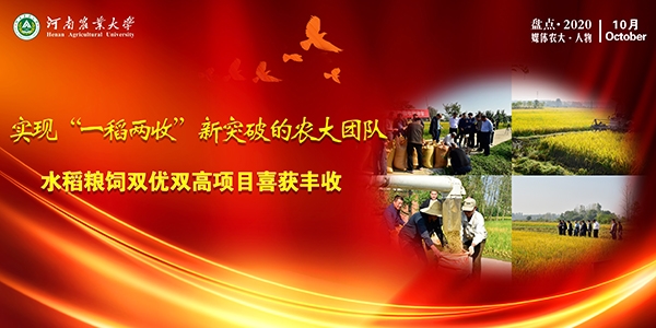 “一稻丰收”亩均增效千元的农大水稻.jpg