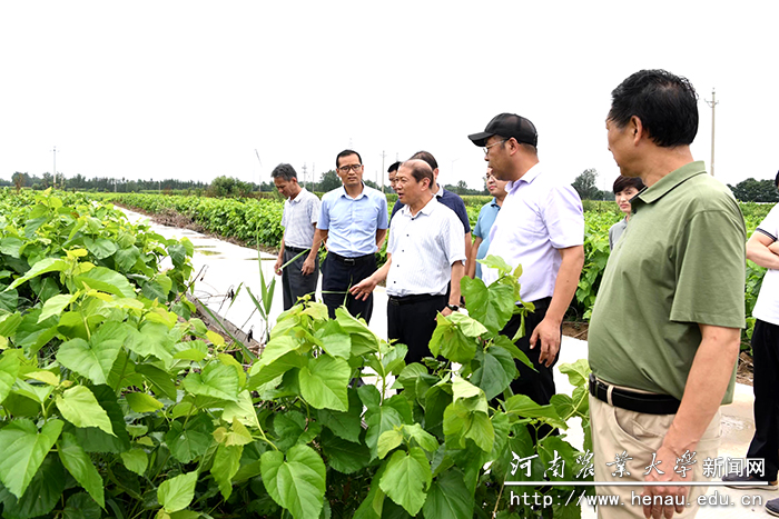 校长介晓磊实地查看项目进展情况 校长介晓磊实地查看项目进展情况