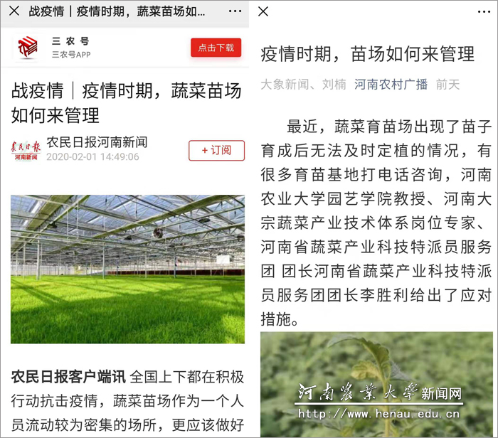 李胜利教授疫情时期蔬菜苗场管理有关报道 李胜利教授疫情时期蔬菜苗场管理有关报道