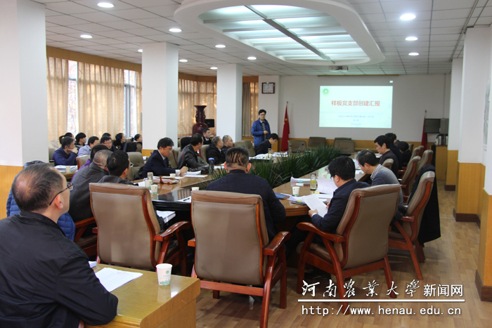 党支部建设观摩和样板党支部评选现场 党支部建设观摩和样板党支部评选现场