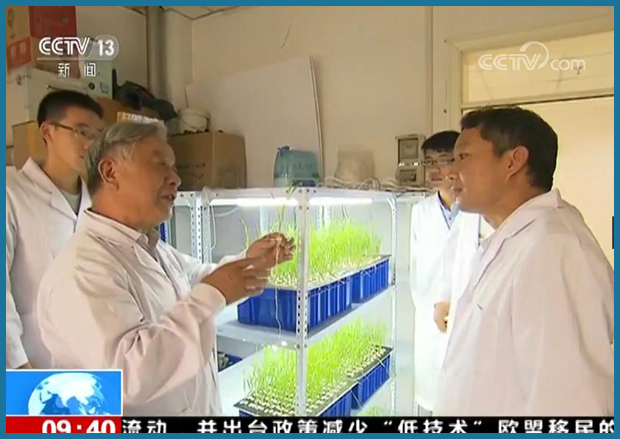 新闻直播间:育苗更育人 新闻直播间:育苗更育人