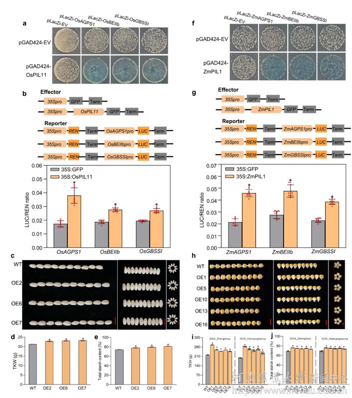 微信图片_20251212091542_279_22.png 微信图片_20251212091542_279_22.png