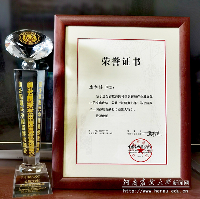 荣誉证书 荣誉证书
