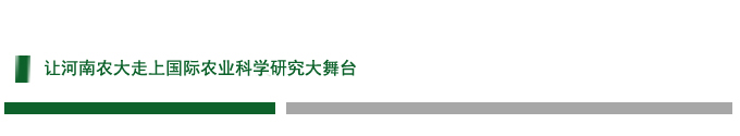 张龙现a