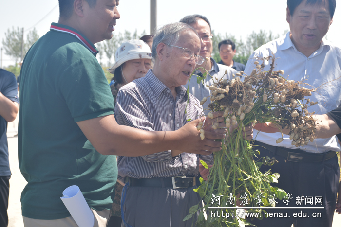 韩锦锋教授等指导当地土壤改良示范基地建设 韩锦锋教授等指导当地土壤改良示范基地建设