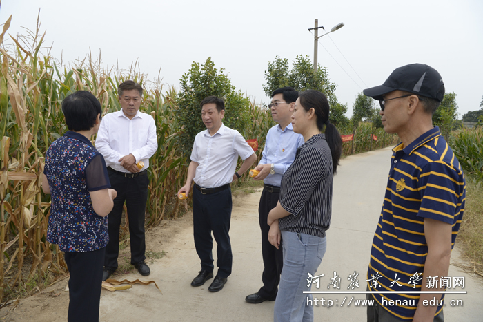 郑州市科技局党组书记、局长夏扬一行听取“豫单132”生产情况的介绍 郑州市科技局党组书记、局长夏扬一行听取“豫单132”生产情况的介绍