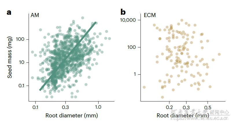 新闻2.png 新闻2.png