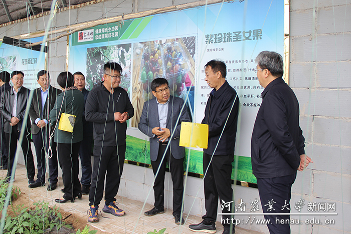 魏蒙关一行到种植棚内听取蔬果等农产品长势情况 魏蒙关一行到种植棚内听取蔬果等农产品长势情况