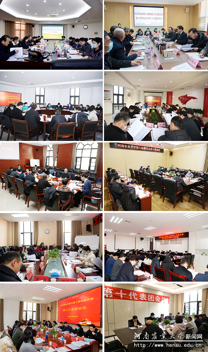 各代表团对《河南农业大学绩效工资实施细则(试行)》进行了热烈讨论 各代表团对《河南农业大学绩效工资实施细则(试行)》进行了热烈讨论