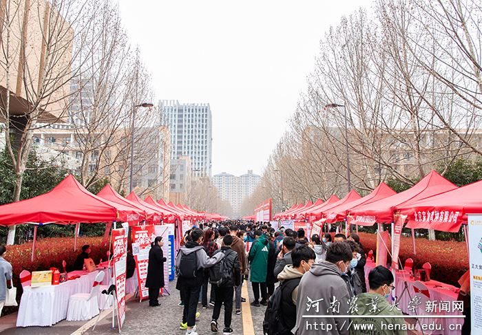 双选会现场气氛热烈