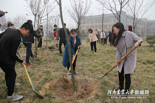 许昌校区同学们培土植树,劳动场面热火朝天 许昌校区同学们培土植树,劳动场面热火朝天