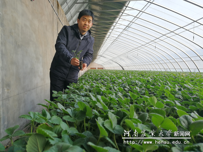 王志豪在温室育苗大棚 王志豪在温室育苗大棚