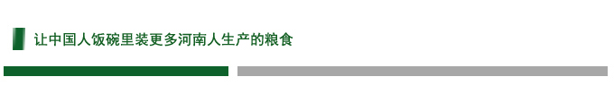 让中国人饭碗里装更多河南人生产的粮食