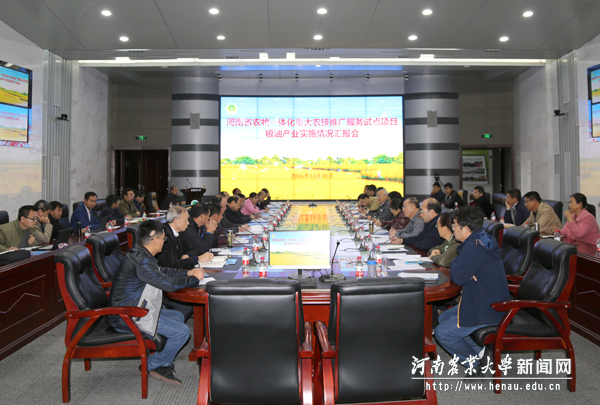 粮油产业集中汇报和考评会议 粮油产业集中汇报和考评会议