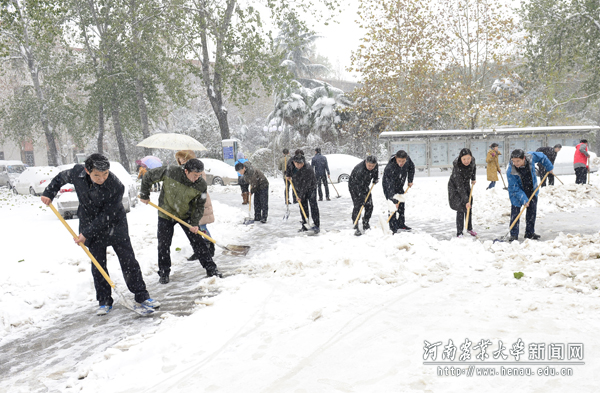 校领导与大家一起参加除雪活动 校领导与大家一起参加除雪活动