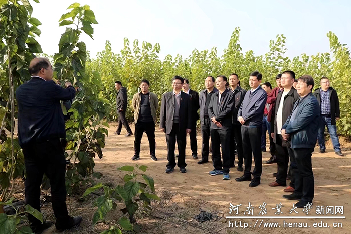 校党委书记魏蒙关实地查看项目进展情况 校党委书记魏蒙关实地查看项目进展情况