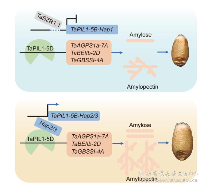 微信图片_20251212091613_281_22.png 微信图片_20251212091613_281_22.png