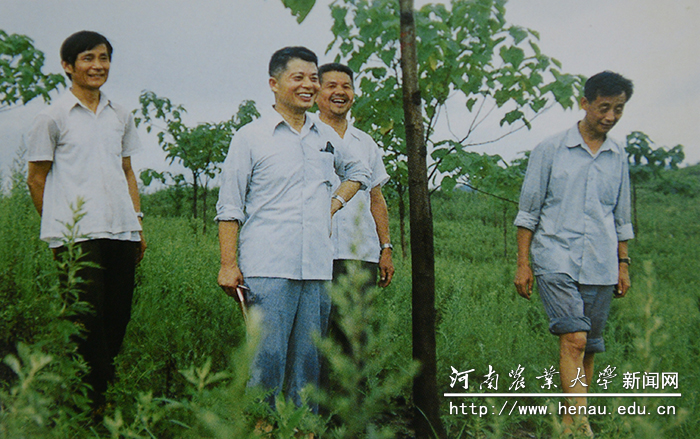 在桐柏县毛集林场考察泡桐基因库 在桐柏县毛集林场考察泡桐基因库
