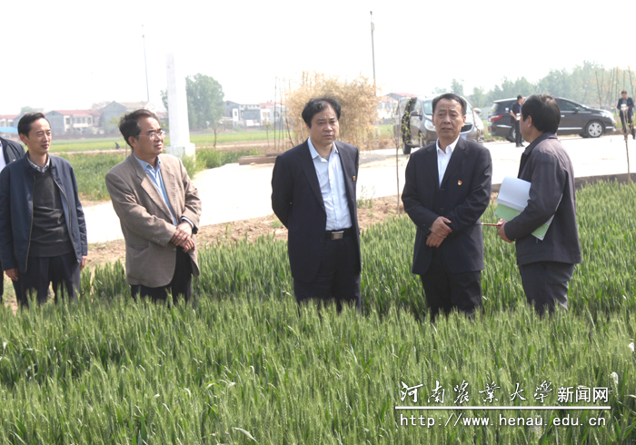 校党委书记魏蒙关,校长、中国工程院院士张改平到我校原阳基地调研指导工作 校党委书记魏蒙关,校长、中国工程院院士张改平到我校原阳基地调研指导工作