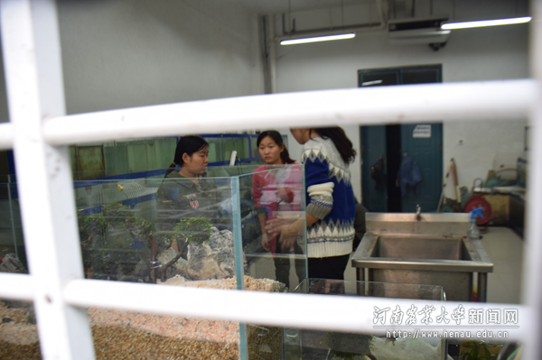 有时候,努力付出并不意味这满满的收获。从报名到作品提交,不过只有十几天的时间,他们梦想的种子能开花结果吗? 有时候,努力付出并不意味这满满的收获。从报名到作品提交,不过只有十几天的时间,他们梦想的种子能开花结果吗?