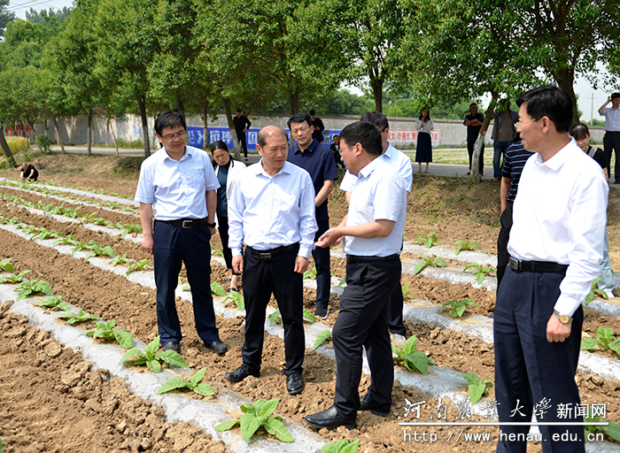 校长介晓磊实地察看烟苗生长情况 校长介晓磊实地察看烟苗生长情况