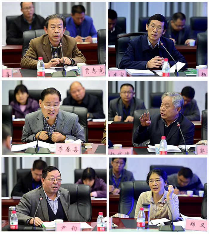 专家组成员认真指导 专家组成员认真指导